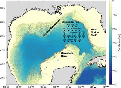 Generation of high-frequency topographic Rossby waves in the Gulf of Mexico